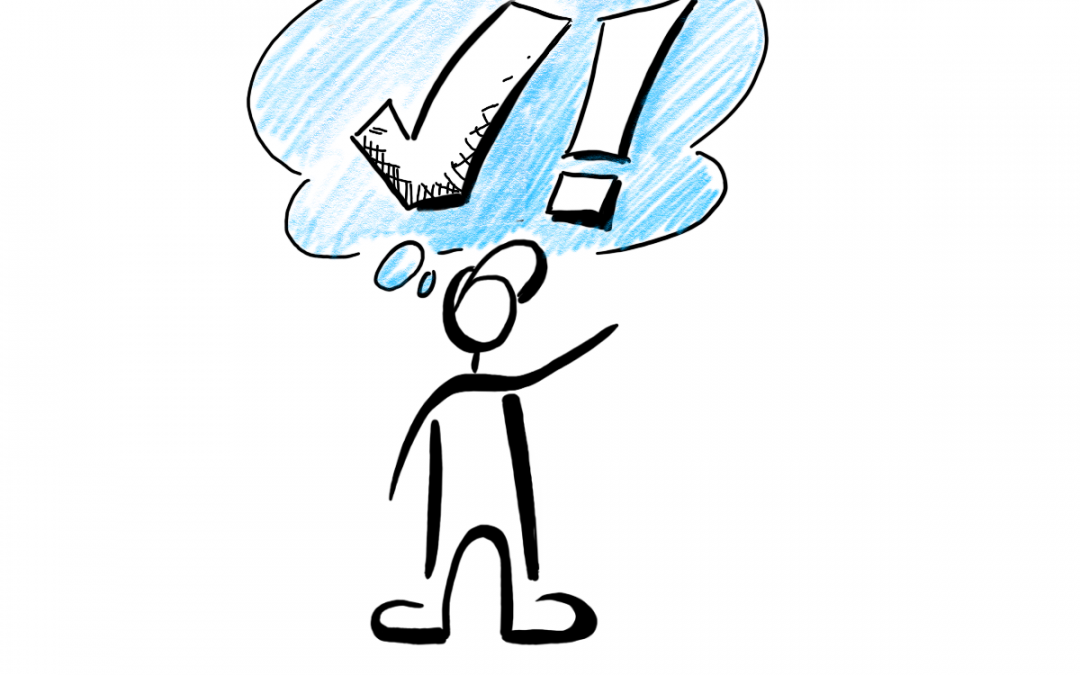 Rollen im Change Management: Externe Trainer