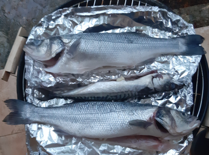 Trainingsdesign für digitale Lernstrecken und Blended Learning